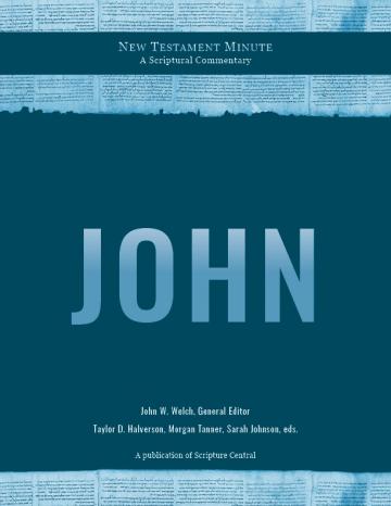 Cover of New Testament Minute: John by Jackson Abhau.