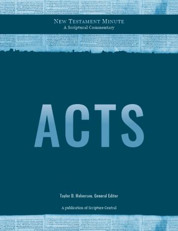cover of New Testament Minute: Acts