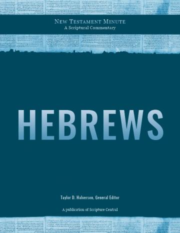 cover of New Testament Minute: Hebrews