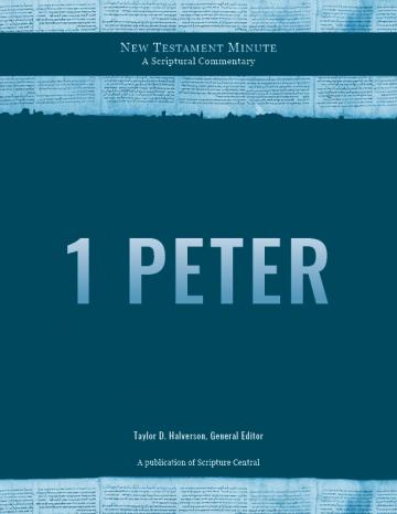 cover of New Testament Minute: 1 Peter