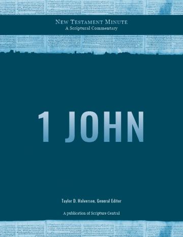 cover of New Testament Minute: 1 John