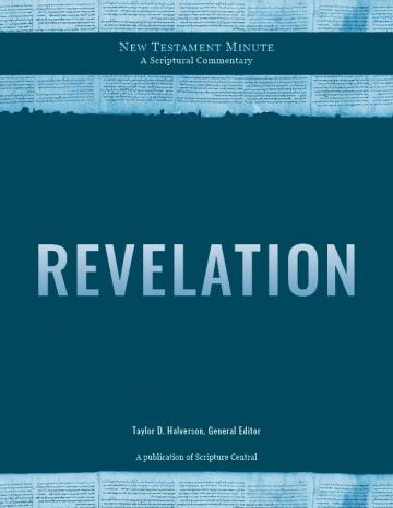cover of New Testament Minute: Revelation