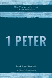 Cover image of New Testament Minute: 1 Peter