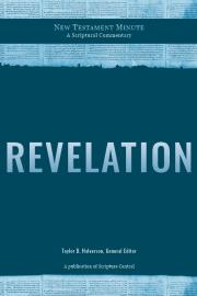 Cover image of New Testament Minute: Revelation