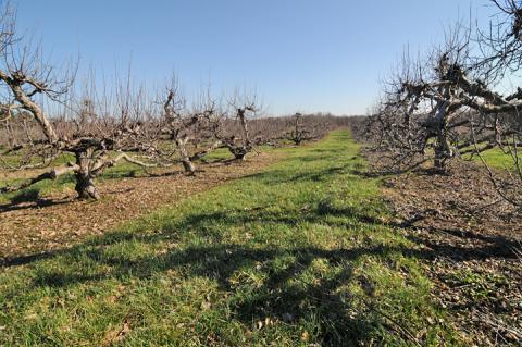 Present-day view of what was once the John Johnson farm. Taken in 2021.
