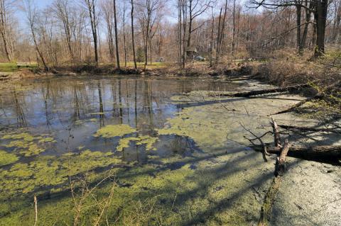 Quarry Pond. Taken in 2021.