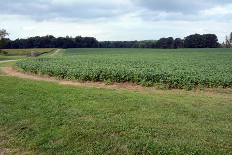 Alternate view of what was once the John Johnson farm. Taken in 2020.