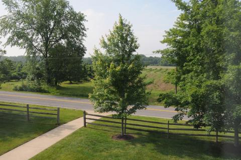 View of what was once the John Johnson farm from inside the home. Taken in 2013.