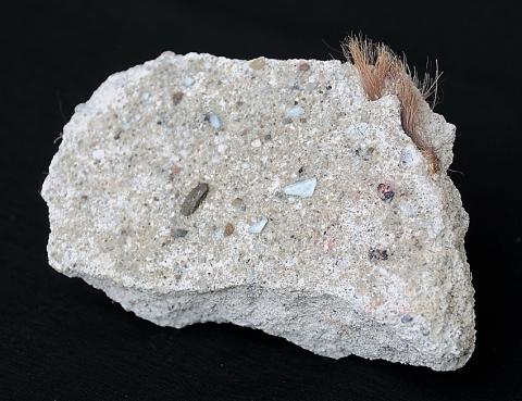 Plaster that had been removed from the Kirtland Temple in 1955. Borrowed from the owner to take the image in 2009.